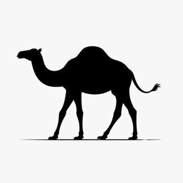 ابل
